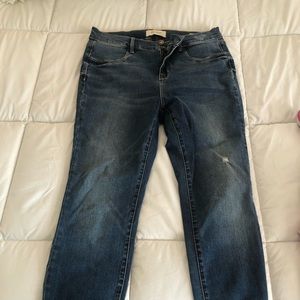 Ankle cut Pacsun Jeans Stretchy